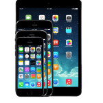 iPhone 6 Plus vs. iPad